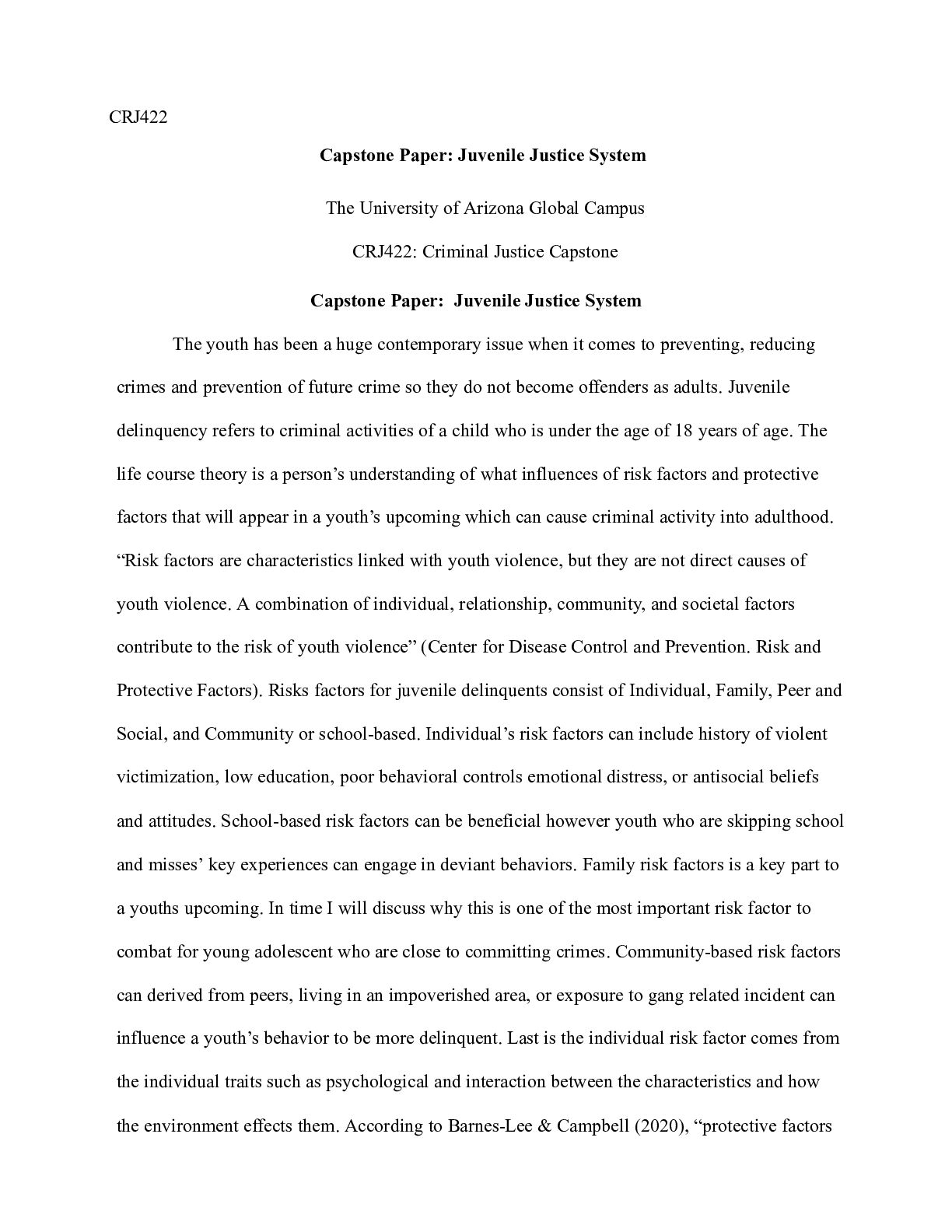 Preview image of Capstone  JJS .docx document